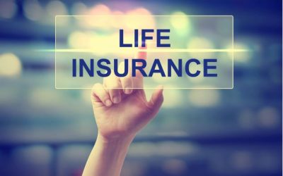 Understanding the Difference Between Term and Whole Life Insurance